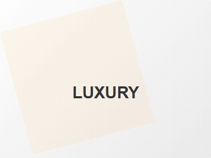 Modernist Sans Fonts for Luxury Branding