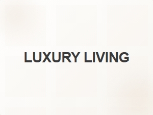 Neo-Grotesque Sans Fonts for Luxury Branding